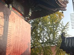 -宝通禅寺