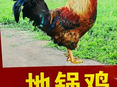 -皖北巫氏三胖地锅鸡(长淮总店)
