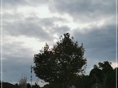 -苏州东太湖生态园