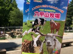 -神户市立六甲山牧场
