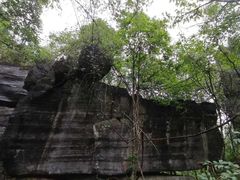 -梭布垭石林景区