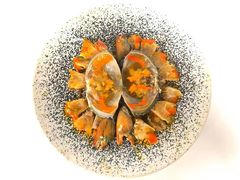 -小峰饭店·35年锡帮菜