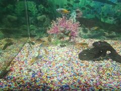 -绍兴梦享海洋公园