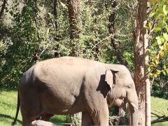 -北京野生动物园