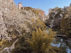 -贵阳市花溪国家城市湿地公园