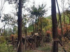 -川匠·睡眠采耳·SPA(九眼桥店)