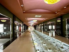 -青岛贝壳博物馆