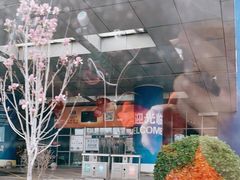 -麦德龙(十里河店)