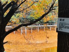 -广州市白云山风景名胜区