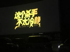 -枫花园汽车电影院(朝阳公园店)