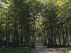 -紫金山索道-售票处