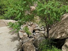 -碓臼峪自然风景区