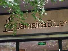 -JamaicaBlue(新城国际店)