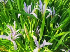 -廊坊文化艺术中心