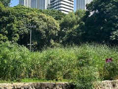 -成都市活水公园