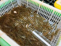-毛哥小馆子(百井坊巷店)