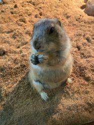 -Zoolung Zoolung动物主题公园(海信广场店)