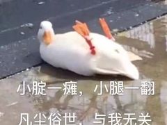 -么子烤肉(化龙池店)