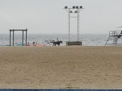 -玫瑰海岸文化旅游度假区