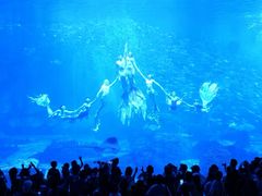 -长沙湘江欢乐雪域