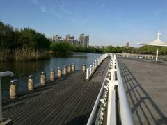 -新江湾城公园