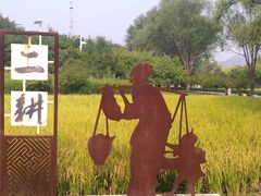 -北坞公园