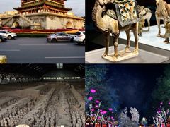 -陕西历史博物馆