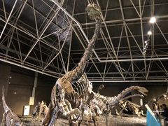 -世界恐龙谷景区