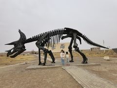 -二连浩特国家地质公园