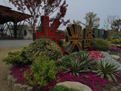 -上海长兴岛郊野公园