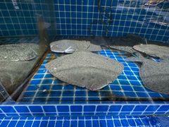 -春来酒家