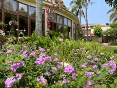 -三亚亚龙湾天域度假酒店