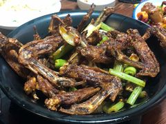 干锅鸭翅大份-掌上鲜(南顺城街店)