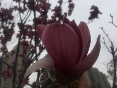 -迎泽公园