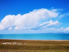 -青海湖国家重点风景名胜区