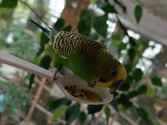 -南宫五洲植物乐园