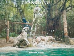 -广州长隆野生动物世界