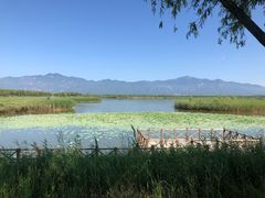 -野鸭湖国家湿地公园