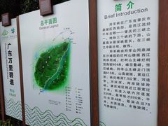 -羚羊峡古栈道森林公园