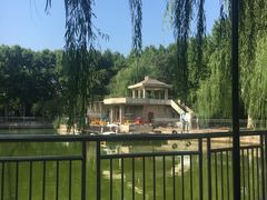 -黄村公园