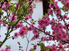 -乌山风景区