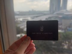 -新加坡丽思卡尔顿美年酒店