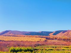 -塞罕坝国家级自然保护区