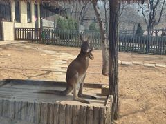 -大连森林动物园