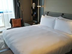 -新加坡瑞士史丹福酒店