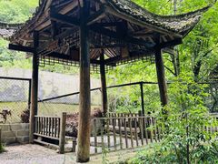 -神农架香溪源景区
