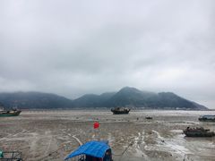 -北岐滩涂