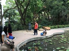 -香港大学