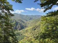 -五女峰国家森林公园