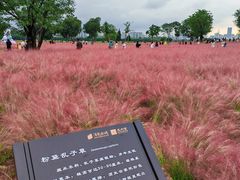 -汉长安城未央宫国家考古遗址公园